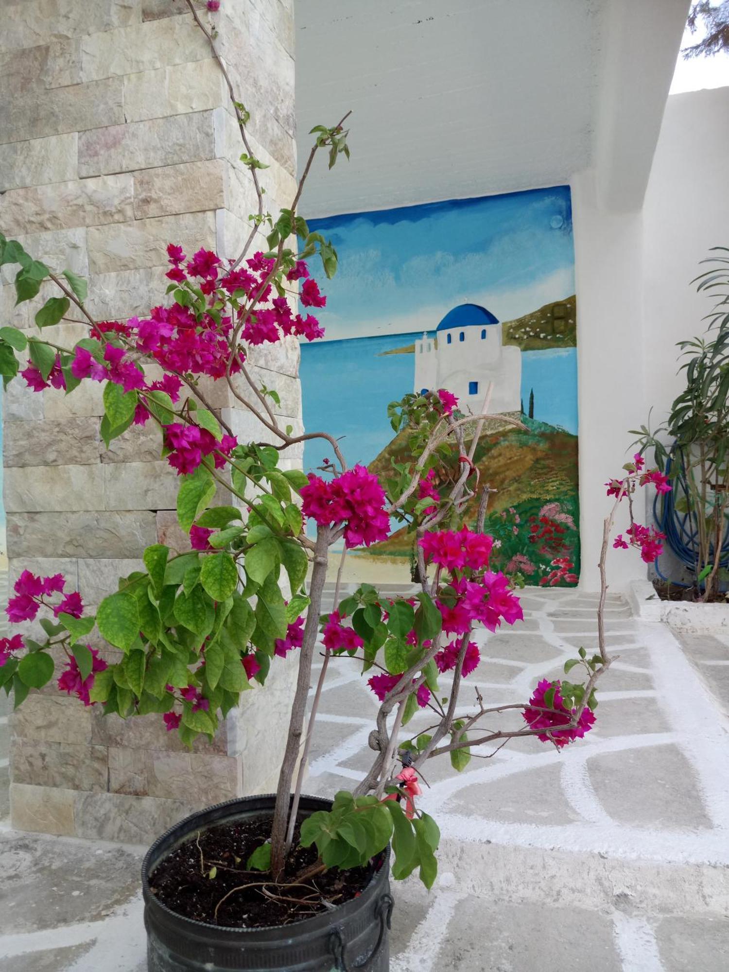 Meletis Studios Πάρος Εξωτερικό φωτογραφία